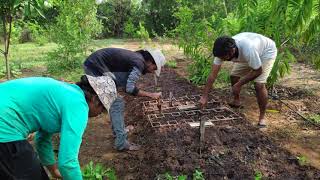 Auroville Organic Farming in Buddha Garden  Basic stay ₹200day Auroville Houses Inside City India [upl. by Wileen232]