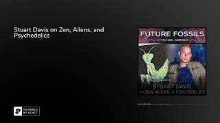 Stuart Davis on Zen Aliens and Psychedelics [upl. by Ennaesor]