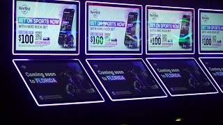 Seminole Casino Hotel welcomes sports betting in Florida [upl. by Aratak]