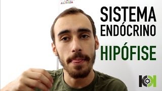 Fisiologia Animal  Sistema Endócrino Hipófise [upl. by Janis]