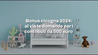 Bonus cicogna 2024 al via le domande per i contributi INPS da 500 euro [upl. by Neelyar406]