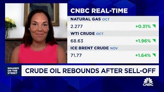 Crude oil to see oversupply situation in 2025 RBC Capitals Helima Croft [upl. by Trometer]