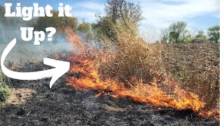 Should You Burn Your Switchgrass [upl. by Lisk870]