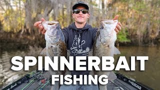 Fishing Spinnerbaits in Shallow Cover for Bass [upl. by Nwahser349]