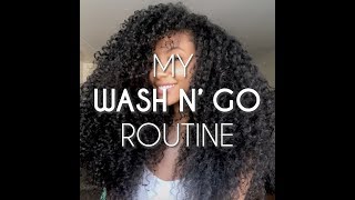 Miss USA Cheslie Krysts Favorite Wash N Go Routine [upl. by Enilra792]