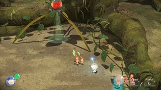 Cemu WiiU Emulator  Pikmin 3 Ingame Cemu v131 [upl. by Kaja]