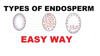 NEET Types of Endosperm  Easy Way  NCERT [upl. by Adnirual117]