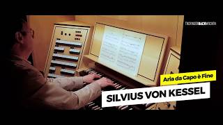 33 Silvius von Kessel  Aria da Capo è Fine  GOLDBERG  eine Variation zur Nacht [upl. by Oniuqa]