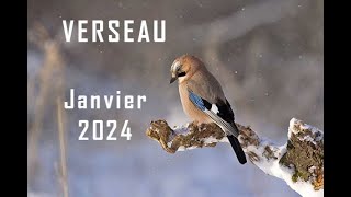 VERSEAU ♒ JANVIER 2024Waouh  Travail argent famille Vos rêves sont actés réalisation en cours [upl. by Morie]