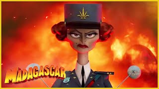 DreamWorks Madagascar en Español Latino  Dubois Esa Mujer Horrible  Circo Afro Madagascar 3 [upl. by Ulick]