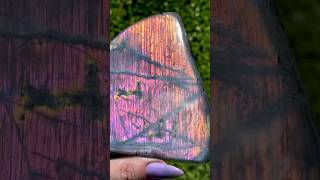 Labradorite 😍 shortsfeed collector gemstone crystal sunset [upl. by Hoj]