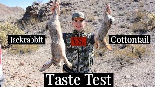 RABBIT HUNT Catch Clean Cook Taste Comparison [upl. by Sitoel]