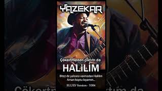 Çökertmeden çıktım da HALiLiM  Blues Versiyon [upl. by Lisetta]