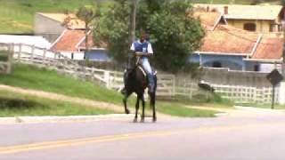 CAVALO MARCHADOR TORDILHO  DIAMANTEwmv [upl. by Ennaid28]