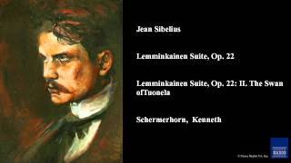 Jean Sibelius Lemminkainen Suite Op 22 Lemminkainen Suite Op 22 II The Swan of Tuonela [upl. by Dorie712]