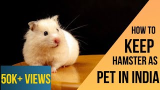 How to keep Hamster As pets In India  Complete Care Guide  Hindi [upl. by Ahasuerus]