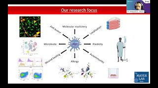 Tissuespecific differences and specialized dendritic cell subpopulations induced by type 2 immunity [upl. by Derfiniw243]