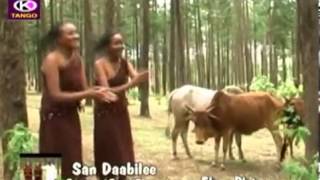 Fayyisaa Furii San Daabilee Oromo Music [upl. by Carlin301]