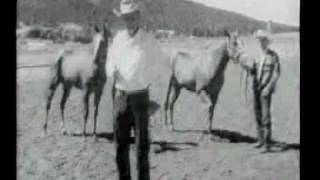 Walter Merrick explaining the difference between Thoroughbred and American Quarter Horses [upl. by Gibbon]