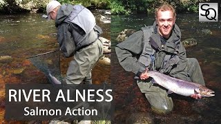 Salmon Fishing in Scotland  River Alness Double or Nothing [upl. by Aihtenyc]