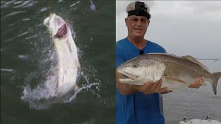 Fishing Downtown St Augustine For Redfish And Tarpon [upl. by Yeldah]