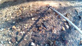 Meteorite hunting with magnet stick fishing in creek [upl. by Alage]