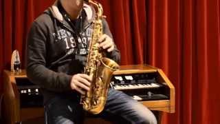 Adolphe Sax amp Cie unlacquered alto saxophone [upl. by Solrak720]