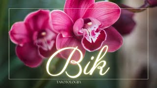 BIK✨ ŠOK ZA SVE BIKOVE OSTVARIĆETE SVOJE SNOVE✨ TAROT CITANJE [upl. by Akciret559]