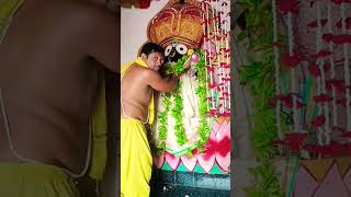 Dayana tulasi basuthau 🙏🚩jayjagannath mahaprabhu ⭕‼️⭕jagannath🙏 youtubeshorts likeandsubscribe👍 [upl. by Eiramanig]