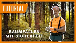 Fällung eines Baumes mit der Sicherheitsfälltechnik  Tutorial der Bayerischen Staatsforsten [upl. by Alboran]