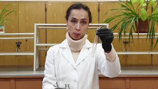 Ninhydrin Reaction Нингидриновая реакция на αаминокислоты [upl. by Ahseekat]