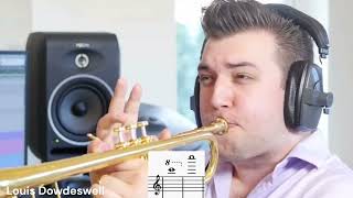 The HIGHEST Notes Ever Hit on TrumpetPart 3 [upl. by Skipp58]