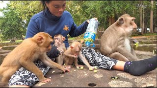 KT feed abandoned Winky and Binky with Amber group [upl. by Anilorak427]