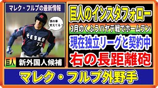 【巨人】新たな新外国にマレク・フルプ外野手の獲得なるか！今もっとも狙い目の独立リーガー？！補強ポイントにも当てはまる右の長距離砲 [upl. by Anitniuq559]