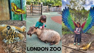 Visiting ZSL London Zoo [upl. by Cori]