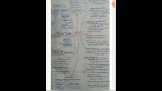 infective endocarditis microbiology reading viralvideo mbbs [upl. by Yerga]