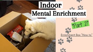 Indoor Mental Enrichment for Dogs  Part 2 [upl. by Ayokahs]