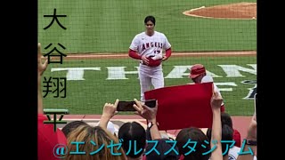 大谷翔平選手は凄い！ 今年も全力応援しましょう！ アメリカ 大谷翔平 ロサンゼルス httpsyoutubecomshortsXD4hNQtGxH8 [upl. by Bergerac1]