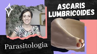 Aula sobre Ascaris lumbricoides e Ascaridíase [upl. by Fauch]