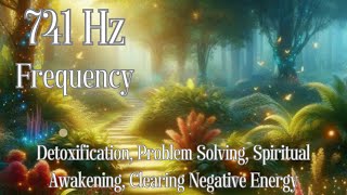 741 Hz Frequency for Detoxification Problem Solving Spiritual Awakening Clearing Negative Energy [upl. by Labotsirc]