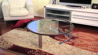 How to Stop Dogs From Soiling Rugs  Tips for Dog Lovers [upl. by Anauj]