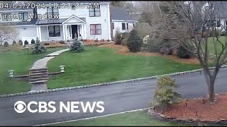 Videos show earthquake in New Jersey area shaking homes rattling glasses and more [upl. by Stranger700]