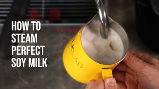 HOW TO MAKE AND USE SOY MILK FOR NATURAL DYEING  SOY MILK BINDER FOR PREPARING FIBER [upl. by Remo]