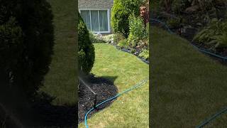 DIY Sprinkler System Installation StepbyStep Guide for Beginners diy sprinklerirrigation [upl. by Nyluqcaj680]