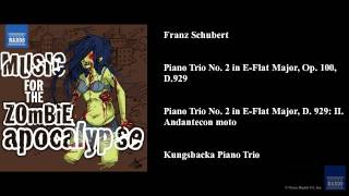 Franz Schubert Piano Trio No 2 in EFlat Major Op 100 D 929 [upl. by Kailey]