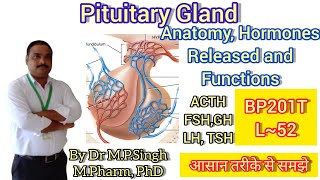 Pituitary Gland  Structure Hormones amp Functions  Human Anatomy PhysiologyII  BP201T  L52 [upl. by Cicily]