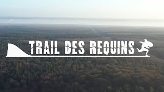 Trail des Requins 2020 [upl. by Kelli]