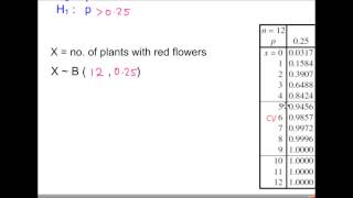 S2  Hypothesis Testing  The Population Proportion p using a Binomial Distribution  Example 2 [upl. by Joselow]