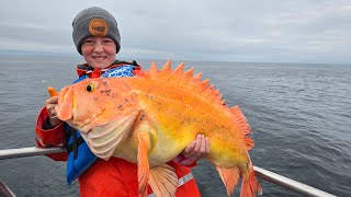 1 Week Fishing Camping amp Hiking Adventure  I Flew a Family of 10 to Alaska [upl. by Sacken]