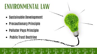 Sustainable Development  Precautionary Principle  Polluter Pays Principle  Public Trust Doctrine [upl. by Laurella]